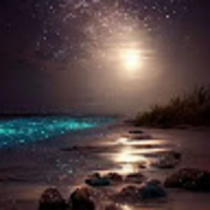 Meet your Posher, Teresa